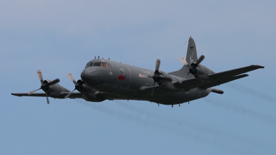 Photo ID 164679 by Johannes Berger. Canada Air Force Lockheed CP 140 Aurora, 140101