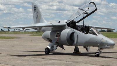 Photo ID 167347 by Martin Kubo. Argentina Air Force FMA IA 63 Pampa II, E 807