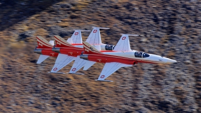 Photo ID 168485 by Milos Ruza. Switzerland Air Force Northrop F 5E Tiger II, J 3089