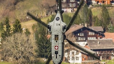 Photo ID 174337 by Martin Thoeni - Powerplanes. Switzerland Air Force Aerospatiale AS 532UL Cougar, T 339