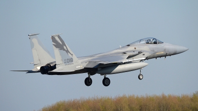 Photo ID 174906 by Peter Boschert. USA Air Force McDonnell Douglas F 15C Eagle, 80 0018