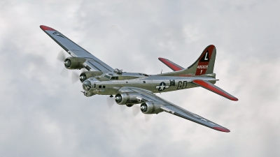 Photo ID 176461 by David F. Brown. Private Yankee Air Force Boeing B 17G Flying Fortress 299P, N3193G