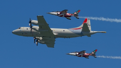 Photo ID 177901 by Filipe Barros. Portugal Air Force Lockheed P 3P Orion, 14804