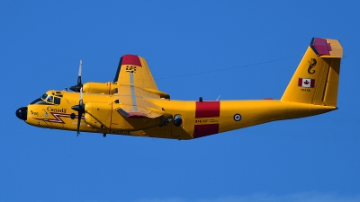 Photo ID 180289 by Lieuwe Hofstra. Canada Air Force De Havilland Canada CC 115 Buffalo, 115456