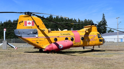 Photo ID 181114 by Lieuwe Hofstra. Canada Air Force Boeing Vertol CH 113A Labrador, 11310
