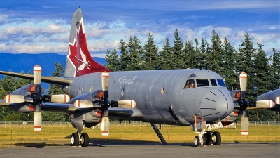 Photo ID 181599 by Mark Munzel. Canada Air Force Lockheed CP 140 Aurora, 140117