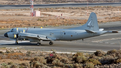 Photo ID 183004 by Bartolomé Fernández. Spain Air Force Lockheed P 3A Orion, P 3A 01