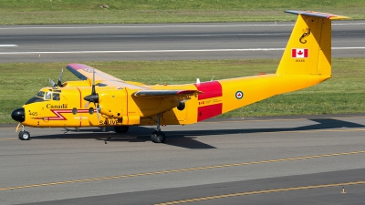 Photo ID 186649 by Alex Jossi. Canada Air Force De Havilland Canada CC 115 Buffalo, 115465