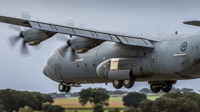 Photo ID 188698 by Filipe Barros. Canada Air Force Lockheed Martin CC 130J Hercules C 130J 30 L 382, 130602