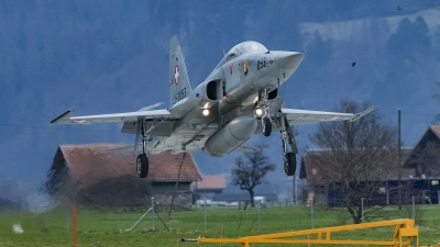 Photo ID 192000 by Martin Thoeni - Powerplanes. Switzerland Air Force Northrop F 5E Tiger II, J 3093