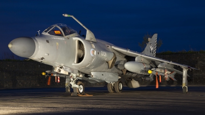 Photo ID 192117 by Roel Kusters. UK Navy British Aerospace Sea Harrier FA 2, ZH796