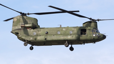 Photo ID 201016 by Roberto Bianchi. Netherlands Air Force Boeing Vertol CH 47D Chinook, D 664