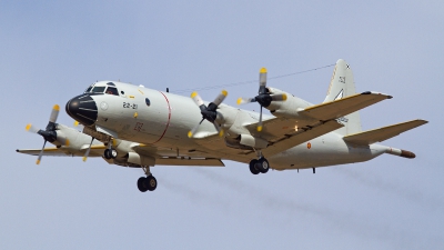 Photo ID 202657 by Manuel LLama-Costa Del Sol Spotting Aviation. Spain Air Force Lockheed P 3A Orion, P 3A 01