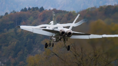 Photo ID 203306 by Agata Maria Weksej. Switzerland Air Force McDonnell Douglas F A 18C Hornet, J 5019