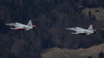 Photo ID 205900 by Luca Fahrni. Switzerland Air Force Northrop F 5E Tiger II, J 3030