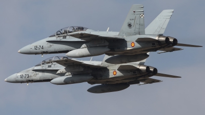 Photo ID 206958 by F. Javier Sánchez Gómez. Spain Air Force McDonnell Douglas CE 15 Hornet EF 18B, CE 15 11