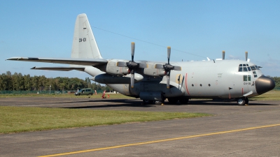 Photo ID 208215 by Michael Frische. Belgium Air Force Lockheed C 130H Hercules L 382, CH 01