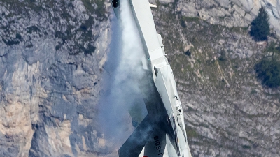 Photo ID 208345 by Thomas Ziegler - Aviation-Media. Switzerland Air Force McDonnell Douglas F A 18C Hornet, J 5019