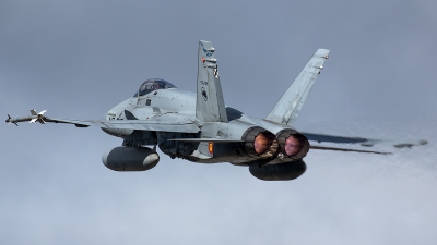 Photo ID 208651 by Thomas Ziegler - Aviation-Media. Spain Air Force McDonnell Douglas F A 18A Hornet, C 15 92