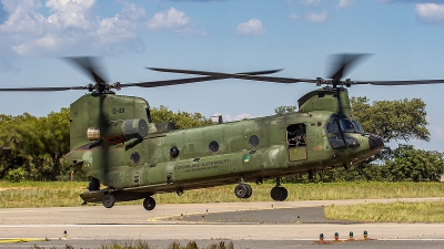 Photo ID 210792 by Filipe Barros. Netherlands Air Force Boeing Vertol CH 47D Chinook, D 101