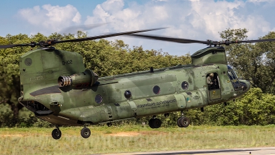 Photo ID 213072 by Filipe Barros. Netherlands Air Force Boeing Vertol CH 47D Chinook, D 102