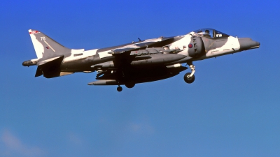 Photo ID 218446 by Gerrit Kok Collection. UK Air Force British Aerospace Harrier GR 7A, ZG505