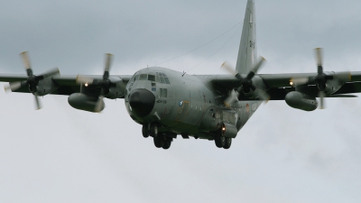 Photo ID 25725 by Tim Van den Boer. Belgium Air Force Lockheed C 130H Hercules L 382, CH 08