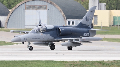 Photo ID 225497 by Milos Ruza. Czech Republic Air Force Aero L 159A ALCA, 6064