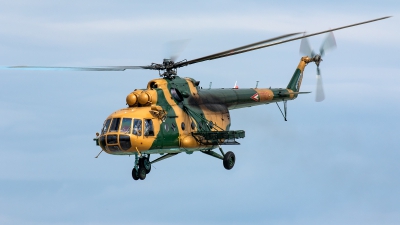 Photo ID 226885 by Thomas Ziegler - Aviation-Media. Hungary Air Force Mil Mi 17N, 702