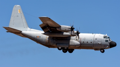 Photo ID 227985 by Bartolomé Fernández. Spain Air Force Lockheed C 130H Hercules L 382, T 10 09