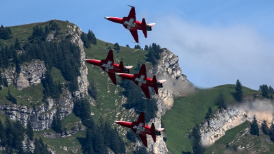Photo ID 232489 by Thomas Ziegler - Aviation-Media. Switzerland Air Force Northrop F 5E Tiger II, J 3091