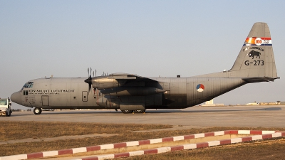Photo ID 237298 by Ray Biagio Pace. Netherlands Air Force Lockheed C 130H 30 Hercules L 382, G 273