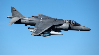 Photo ID 237330 by Neil Dunridge. USA Marines McDonnell Douglas AV 8B Harrier II, 164129