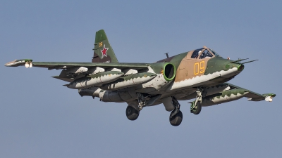 Photo ID 239103 by Andrei Shmatko. Russia Air Force Sukhoi Su 25SM, RF 90962