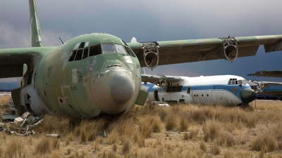 Photo ID 241105 by Neil Dunridge. Bolivia Air Force Lockheed C 130A Hercules L 182, TAM 64