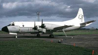 Photo ID 27439 by Tom Gibbons. USA Navy Lockheed UP 3A Orion, 150495