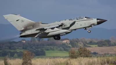 Photo ID 245653 by Lars Kitschke. Italy Air Force Panavia Tornado IDS, MM7036