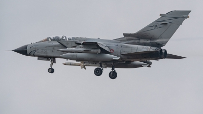 Photo ID 245758 by Sven Neumann. Italy Air Force Panavia Tornado ECR, MM7030