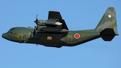 Photo ID 250017 by Shotaro Shimizu. Japan Air Force Lockheed KC 130H Hercules L 382, 95 1081