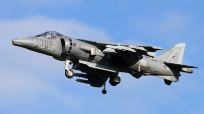Photo ID 28020 by Gary Stedman. UK Air Force British Aerospace Harrier GR 9A, ZD461