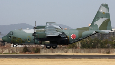 Photo ID 251429 by Shotaro Shimizu. Japan Air Force Lockheed C 130H Hercules L 382, 05 1085