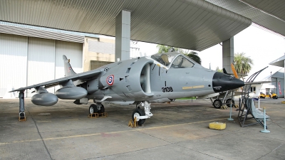 Photo ID 252416 by Sybille Petersen. Thailand Navy Hawker Siddeley AV 8S Harrier, 3109