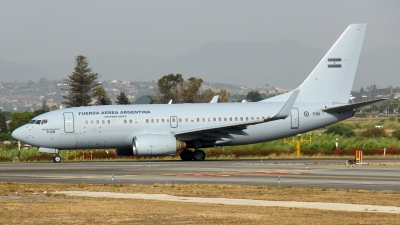 Photo ID 254630 by Manuel Fernandez. Argentina Air Force Boeing 737 76N, T 99