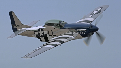 Photo ID 254929 by David F. Brown. Private Stallion 51 North American TF 51D Mustang, NL351DT