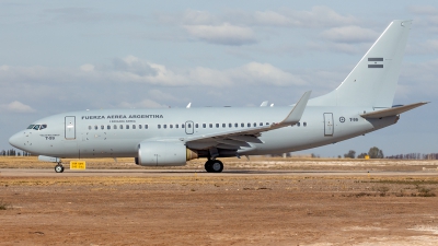 Photo ID 254908 by Martin Montero de Espinosa. Argentina Air Force Boeing 737 76N, T 99