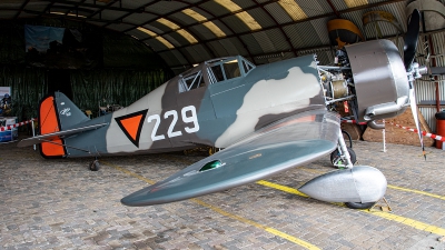 Photo ID 256366 by Jan Eenling. Private Private Fokker D XXI Replica, PH XXI