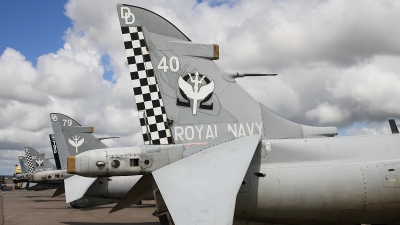 Photo ID 257501 by Barry Swann. UK Navy British Aerospace Sea Harrier FA 2, XZ440