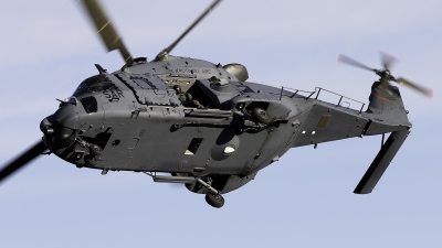 Photo ID 258407 by F. Javier Sánchez Gómez. Spain Air Force NHI HT 29 Caiman NH 90TTH, HD 29 17 10236