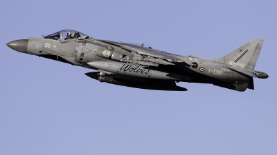 Photo ID 259166 by F. Javier Sánchez Gómez. Italy Navy McDonnell Douglas AV 8B Harrier ll, MM7214