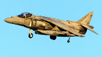 Photo ID 259319 by Manuel Fernandez. Italy Navy McDonnell Douglas AV 8B Harrier ll, MM7201